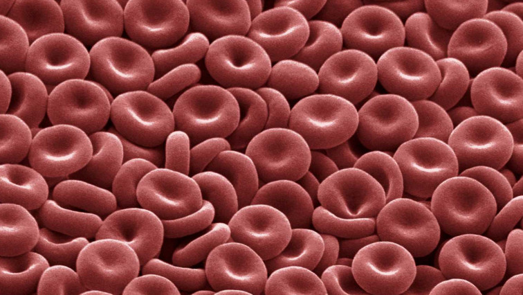 Better Cryoprotection for Red Blood Cells