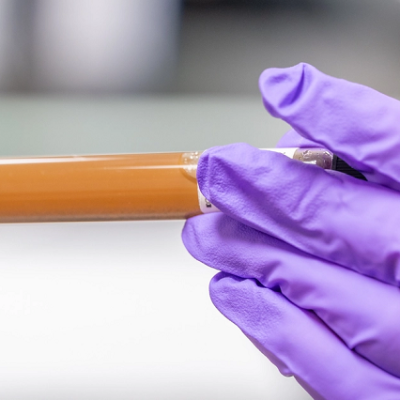 Faster Methods for Detecting Viruses in Food, Water