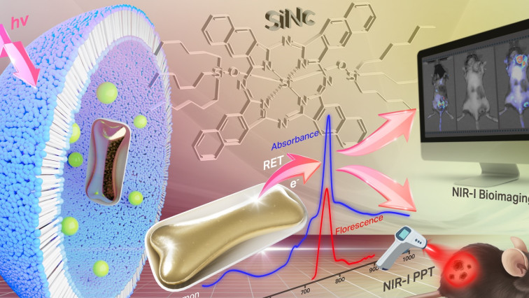 New Nanoparticles Enable Melanoma Tumors to Be Removed with Low-power Laser Light
