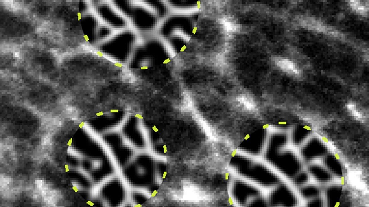 New Image-processing Method for Enhanced Visualization of Electron Microscope Images in Rubber Materials