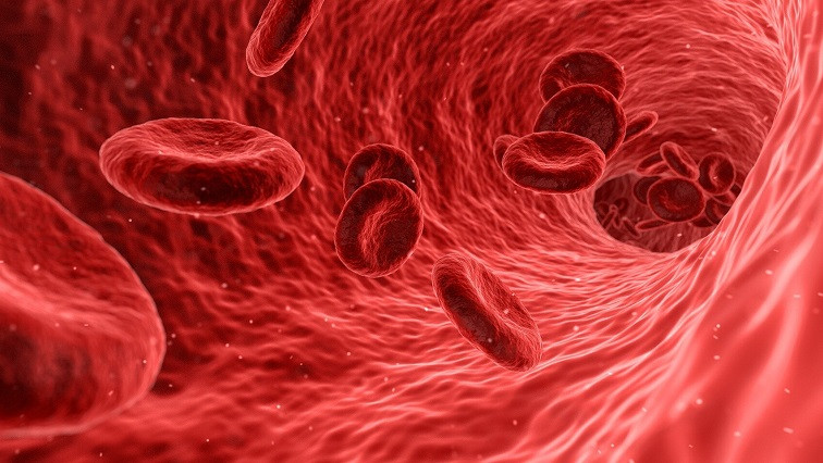 Nanoparticle System Captures Heart-Disease Biomarker from Blood for In-Depth Analysis