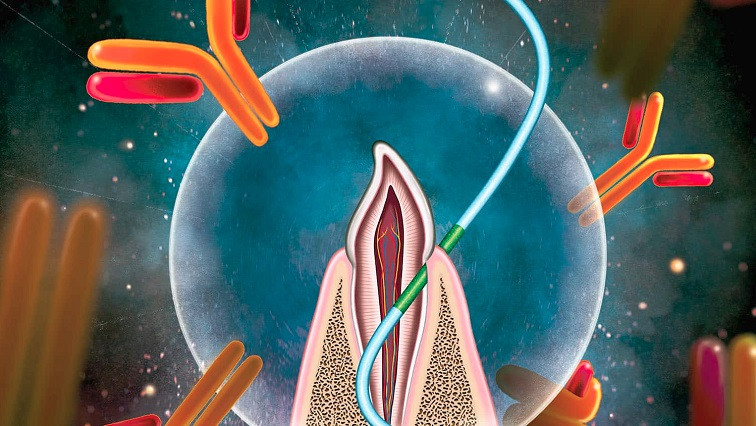 Why You May Get Future Vaccines via Dental Floss