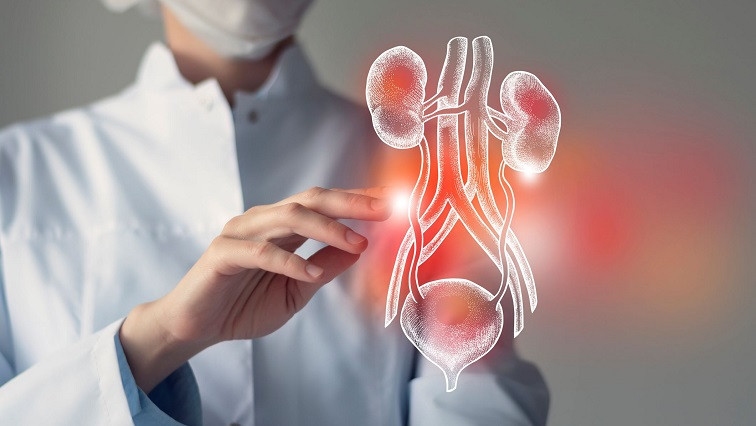 Potential New Test for Kidney Disease