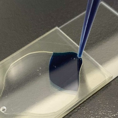 Partnership with a Startup Company Producing Surfactants for Microfluidic Chips