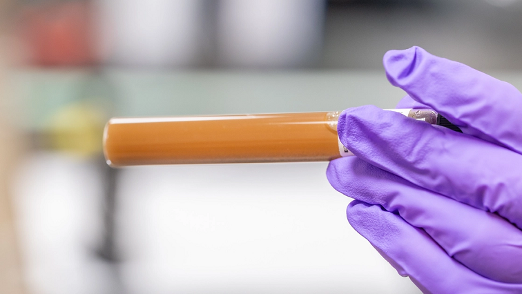 Faster Methods for Detecting Viruses in Food, Water