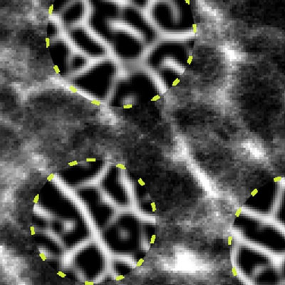 New Image-processing Method for Enhanced Visualization of Electron Microscope Images in Rubber Materials