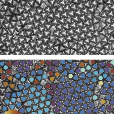 Elusive 3D Printed Nanoparticles Could Lead to New Shapeshifting Materials