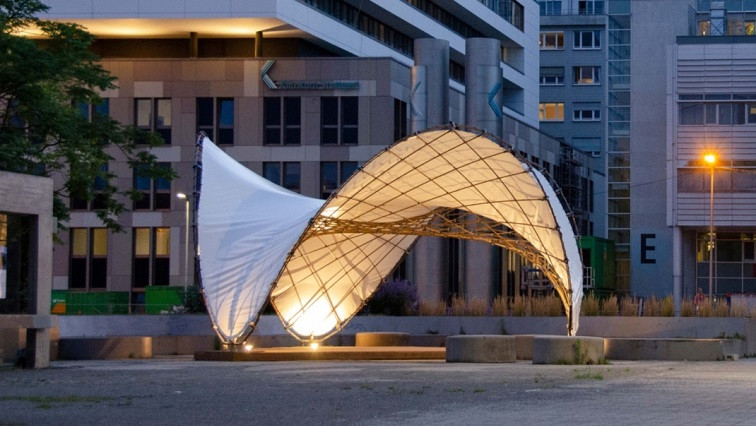 From Insect Carapace to Sustainable Building Material