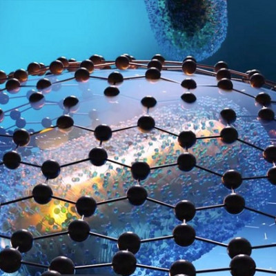 Nanoparticle Ligands Captured in Graphene