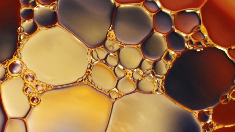 Rowan University Researchers Develop Injectable Biomaterial to Aid Spinal Cord Repair