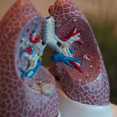 Genprex Pairs Gene Therapy Delivery Tech with Keytruda in Lung Cancer Trial