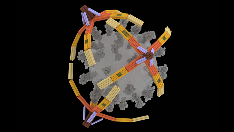 Nanorobot Hand Made of DNA Grabs Viruses for Diagnostics and Blocks Cell Entry