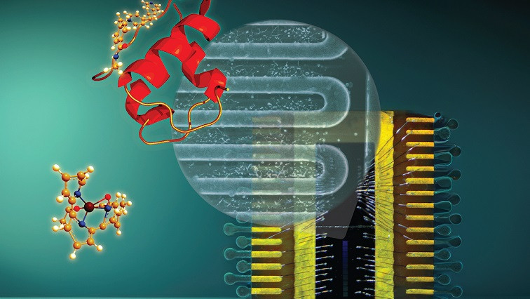 Quantum physics: Superconducting Nanowires Detect Single Protein Ions