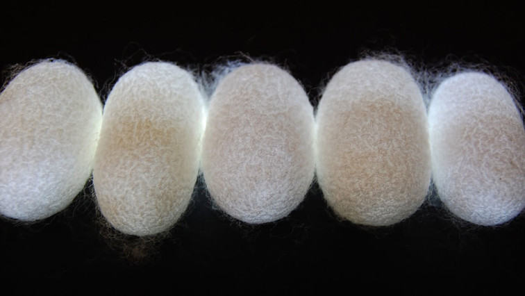 Silk Fibers Improve Bioink for 3D-Printed Artificial Tissues and Organs
