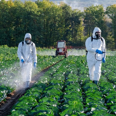Nanotechnology Promises to Help Farmers Cut Pesticide Use – But Could Also Make Chemicals More Toxic