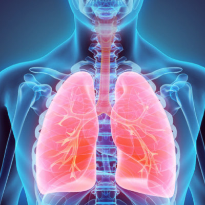 Enabling Safe Delivery of RNA Drugs to the Lungs