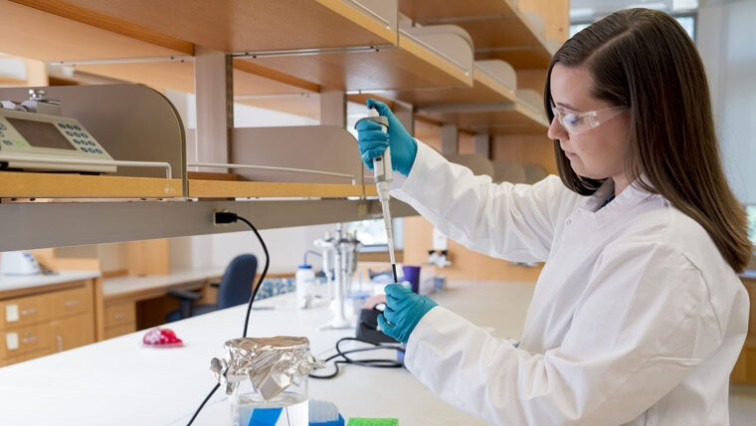 Engineers Create Hydrogels to Monitor Activity in the Body