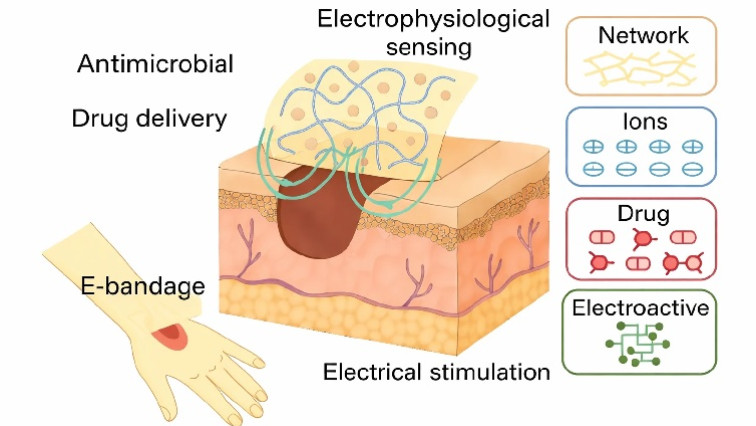 HKU Engineering Researchers Create Durable, Skin-Friendly Soft Materials for Next-Gen Wearable and Biomedical Devices