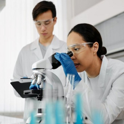 Liver-targeting Drug Reverses Obesity, Lowers Cholesterol in Mice