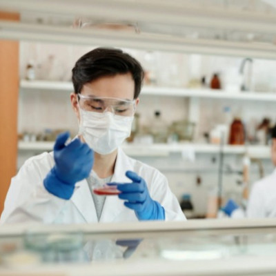 Turning The Spotlight on Cells in Tissues So RNA Can Tell Their Story