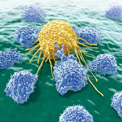 Vanderbilt Nanodrug May Be a Paradigm Shift for Cancer