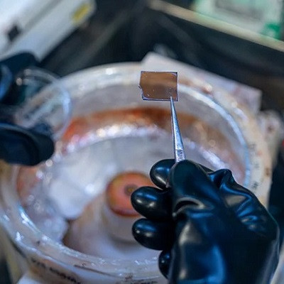 Perfectly Symmetrical 2D Perovskites Boost Energy Transport