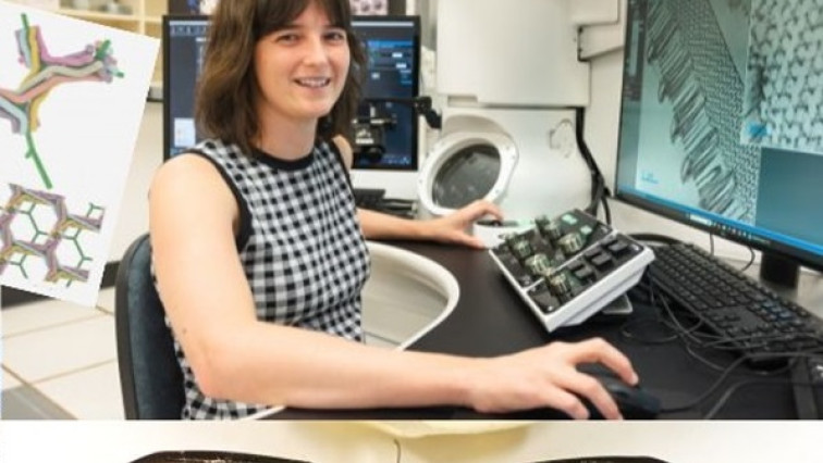 Nature Weaves A 3D Tapestry, Giving Butterfly its Green Wings