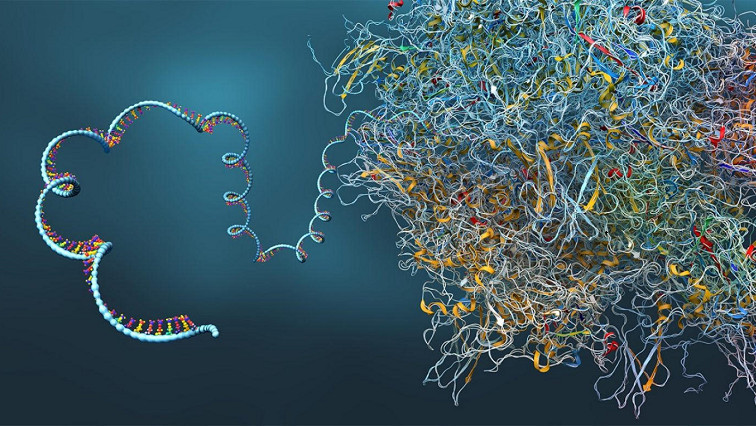 Scientists Develop Novel mRNA Delivery Method Using Extracellular Vesicles