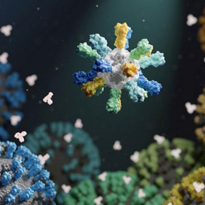 Nanoparticle Flu Shot Blocks Seasonal and Pandemic Strains