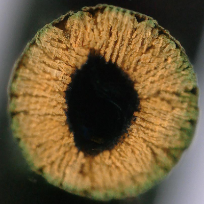 New 3D Printing Method 'Grows' Ultra-strong Materials