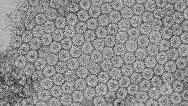 McGill Researchers Develop A Cheaper, Safer Material for Use in Solar Panels, Sensors and Optical Devices