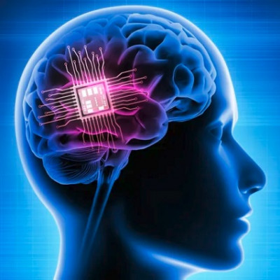 Neural Implant Monitors Multiple Brain Areas at Once, Provides New Neuroscience Insights