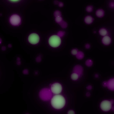 Synthetic Cells Could Be a New Way to Deliver Drugs in the Body