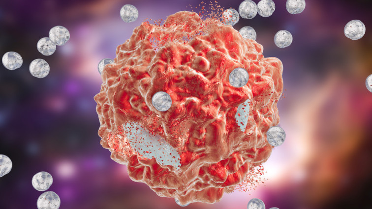 Selective Cancer Nanoparticle Targeting Under the Microscope