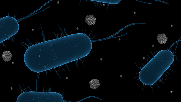 Are Silver Nanoparticles a Silver Bullet Against Microbes?