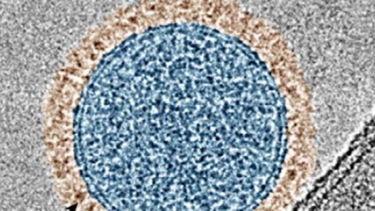 Inhalable Therapy Aims for One-Two Punch Against Advanced Melanoma