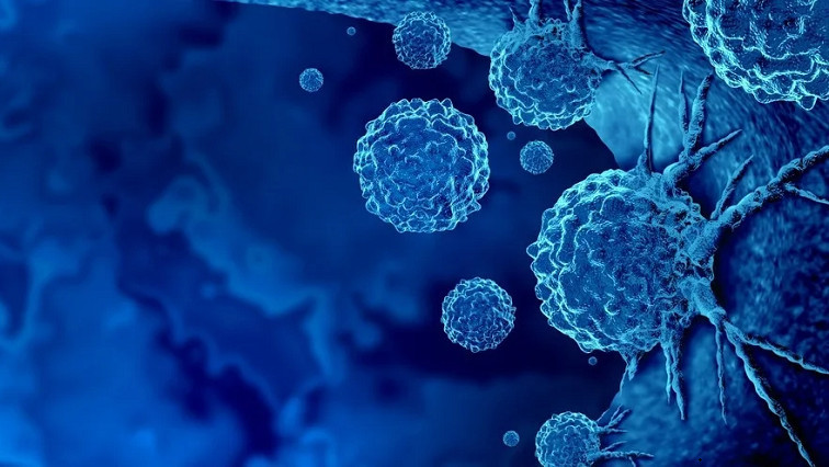 Novel Nanoparticles Deliver Innovative Cancer Chemoimmunotherapy