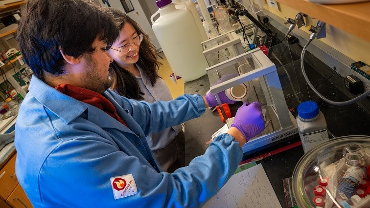 Researcher Targets Parkinson’s with Nanoparticle Therapy