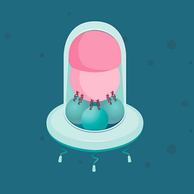 Like a Miniature Lunar Rocket: Researchers Develop Modular Nanorobot