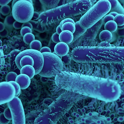 Understanding Bacterial Motors May Lead to More Efficient Nanomachine Motors