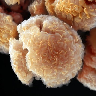 Research Reinvents MXene Synthesis