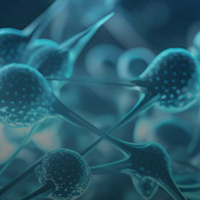 Rutgers Scientists Develop Method to Detect Deadly Infectious Diseases