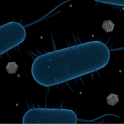 Are Silver Nanoparticles a Silver Bullet Against Microbes?