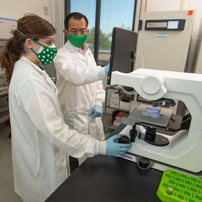Notre Dame Researchers’ “Backpacks” Restore Damaged Stem Cells