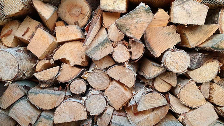 Scientists Produce Electricity from Wood