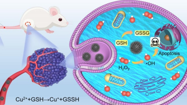Urchin-like Single-atom Nanozymes Show Enhanced Chemodynamic Tumor Therapy