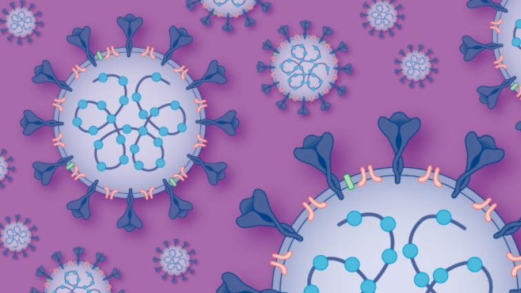 What Vibrating Molecules Might Reveal about Cell Biology