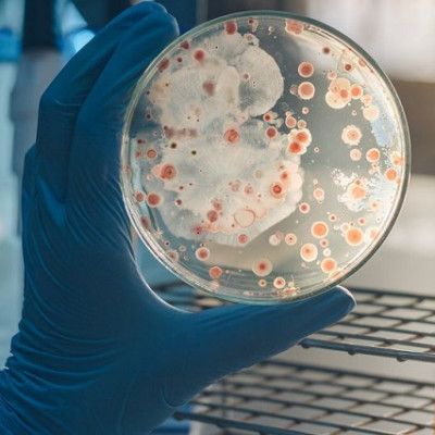 Antiviral Color Nanocoating Technology