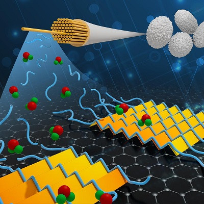 Flexible Circuits Made with Silk and Graphene on the Horizon