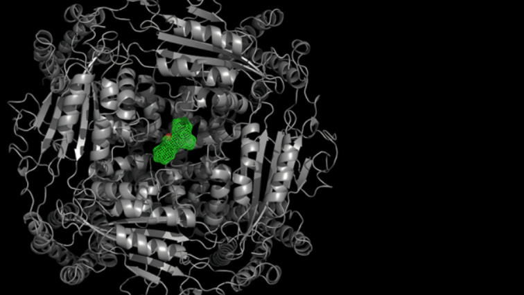 Functional Ion Nanochannel-based Approach to Detect Tyrosine Phosphorylation